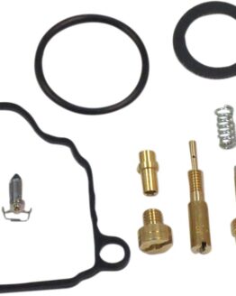 Carburetor Repair Kit