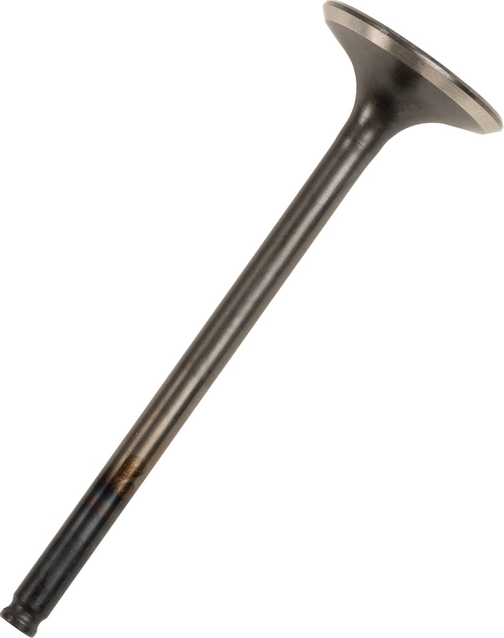 E977D90A-618A-430B-BAF4-005E57F0D7AE.jpg E977D90A-618A-430B-BAF4-005E57F0D7AE.jpg