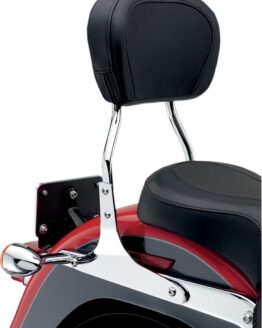 Round 14" Sissy Bar Chrome