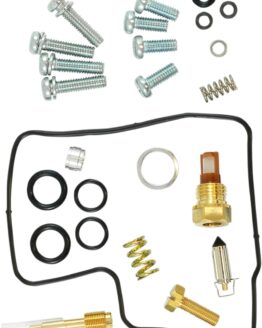 Carburetor Repair Kit