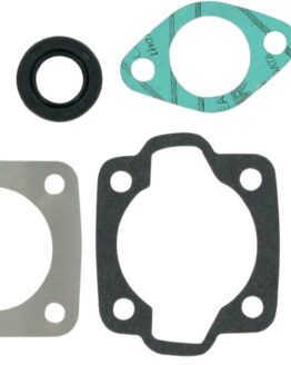 Complete Gasket Kit With Oil Seals