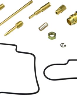 Carburetor Repair Kit