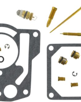 Carburetor Repair Kit