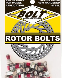 Brake Rotor Bolts