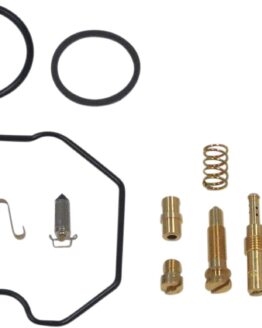 Carburetor Repair Kit