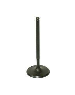 Bronco Intake Valve AU-09190I For Polaris Sportsman/RZR/ACE/General