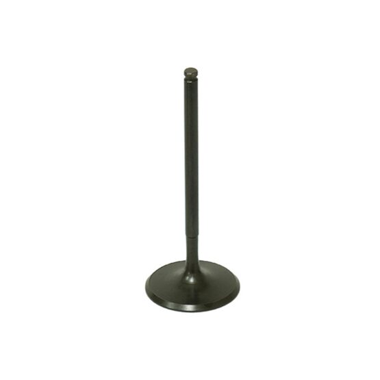 Bronco Intake Valve AU-09190I For Polaris Sportsman/RZR/ACE/General