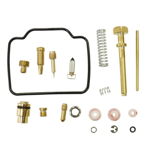 Bronco ATV Carburetor Kit AU-07491