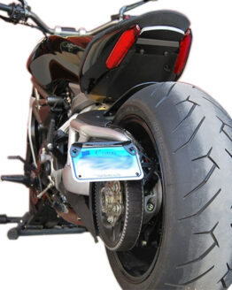 2 Position Side License Plate Mount