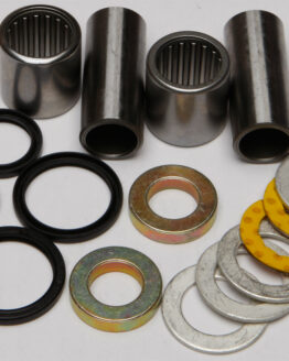 Swing Arm Bearing Kit