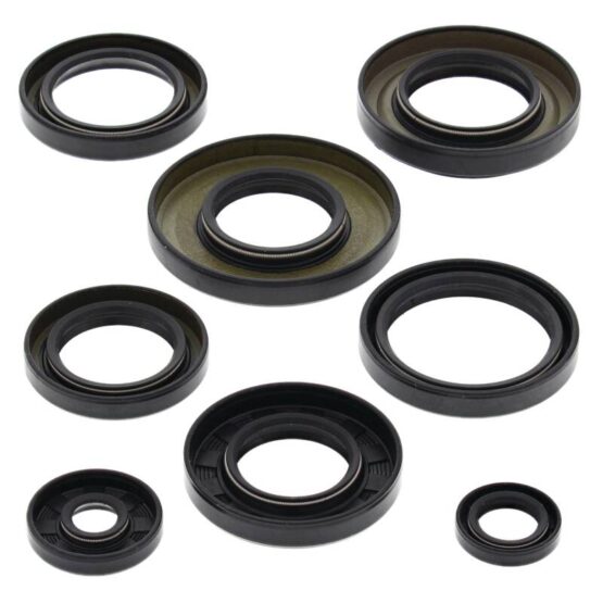 Vertex Engine Oil Seal Kit 822253