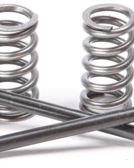 Steel Exhaust Valve/Spring Kit