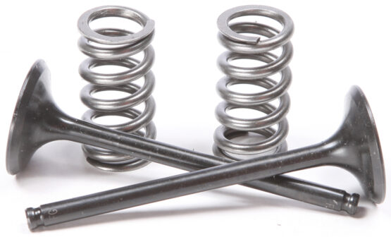 Steel Exhaust Valve/Spring Kit