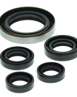 Vertex Engine Oil Seal Kit Fits 2003-2007 Polaris Outlaw/Predator 500