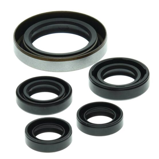 Vertex Engine Oil Seal Kit Fits 2003-2007 Polaris Outlaw/Predator 500