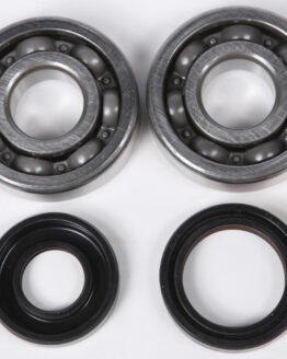 Crankshaft Bearing & Seal Kit