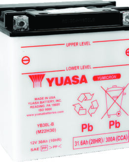 Yuasa YB30L-B Yumicron 12V Battery