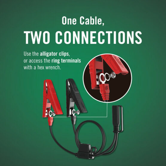 Bt 1.25 Amp Selectable - Image 2