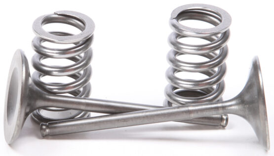 Steel Intake Valve/Spring Kit