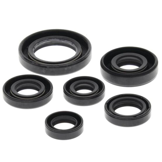 Vertex Oil Seal Kit Fits 1993-2009 Honda TRX300EX