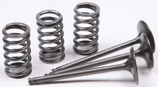 Steel Intake Valve/Spring Kit