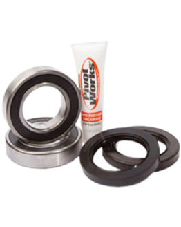 Rear Wheel Bearing Kit