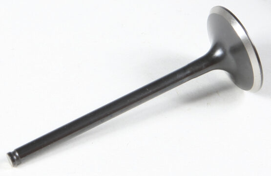 Black Diamond Intake Valve