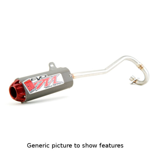 Big Gun Mini EVO R Full Exhaust Red Fits 06-24 Honda TRX90
