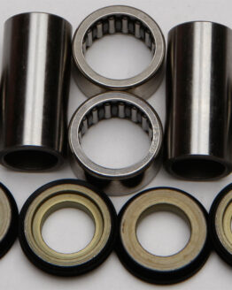 Swing Arm Bearing Kit