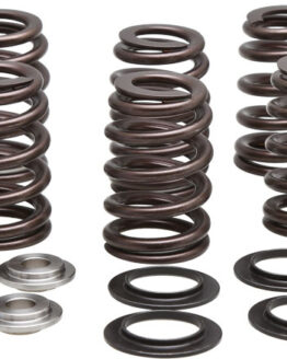 Valve Spring Kit Beehive 0.465 Lift Titanium