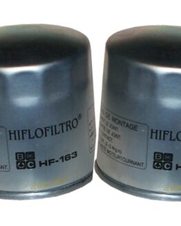 HF163 Oil Filter - 2 Pack