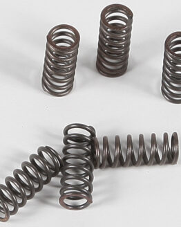 EBC CSK Series +15% Clutch Spring Kit CSK39