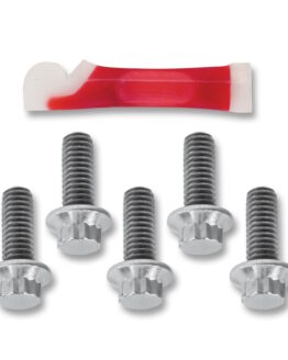 Rotor Bolt Set - Chrome