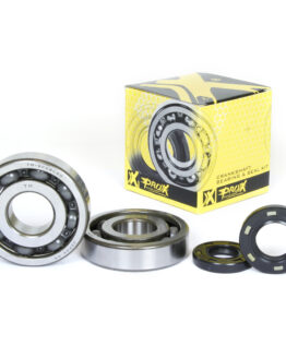 Crankshaft Bearing & Seal Kit