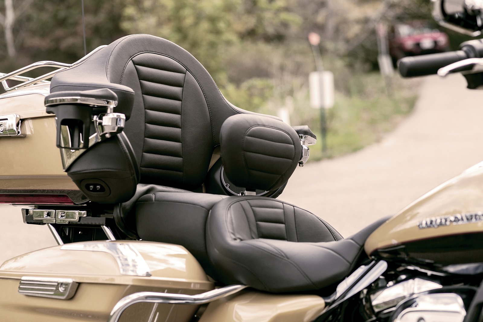 Ultra Touring Extended Arm Wrap Around Backrest by Mustang - Image 3