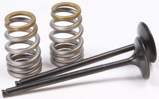 Steel Intake Valve/Spring Kit