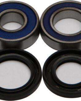 Wheel Bearing & Seal Kit
