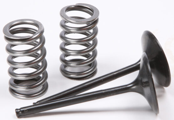Steel Intake Valve/Spring Kit