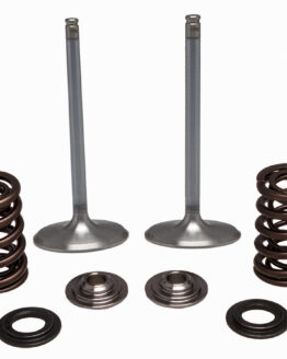 Intake Valve Spring Kit