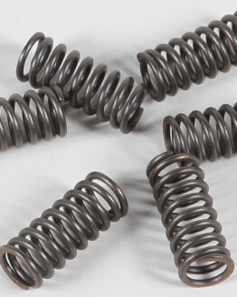 EBC CSK33 Clutch Spring Kit +15% Stiffer For 88-14 Honda