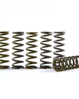 Hinson Hi-Temp Clutch Spring Kit Set of 5 Fits 10-24 Suzuki RM-Z250