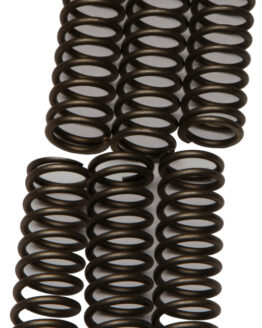 EBC CSK Series Clutch Springs +15% CSK109 For 00-05 Kawasaki ZX12R