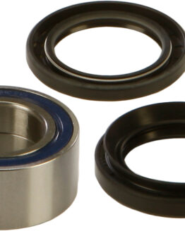 Wheel Bearing & Seal Kit