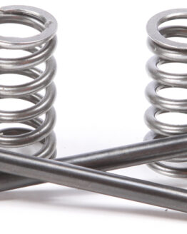 Steel Exhaust Valve/Spring Kit