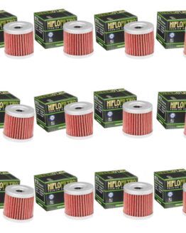 HF139 Oil Filter - 12 Pack