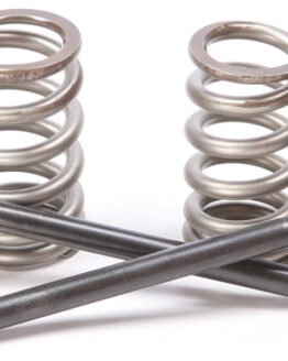 Steel Intake Valve/Spring Kit