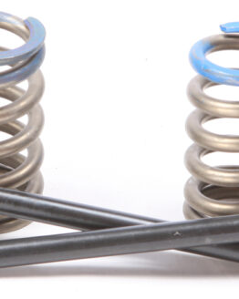 Steel Exhaust Valve/Spring Kit