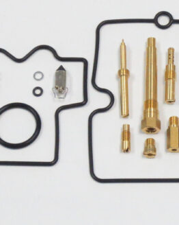 Carburetor Repair Kit