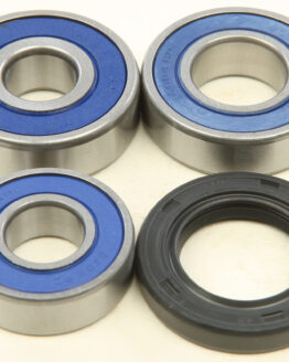 Wheel Bearing & Seal Kit