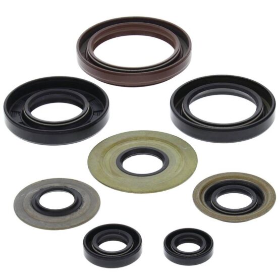 Vertex Engine Oil Seal Kit 822218